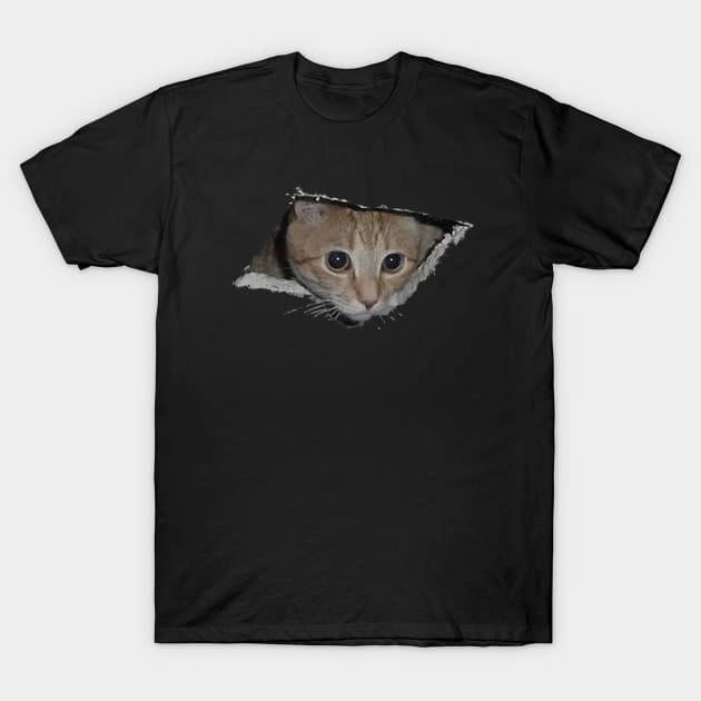 The same cat that looks out of a hole in the ceiling now looks out of a hole in anything! T-Shirt by svu